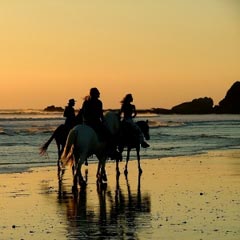 Horses and riders on a beach at sunset.