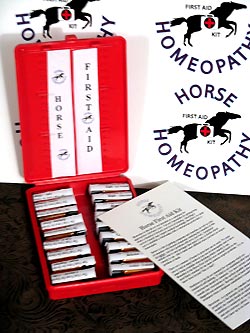 Horse First Aid Kit