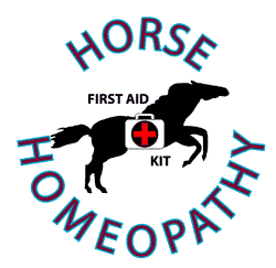 The Vital Force for Horse